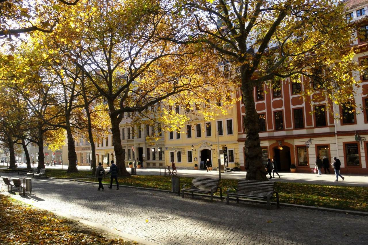 Fewo CANALETTO im Stadtzentrum Dresden Exterior foto